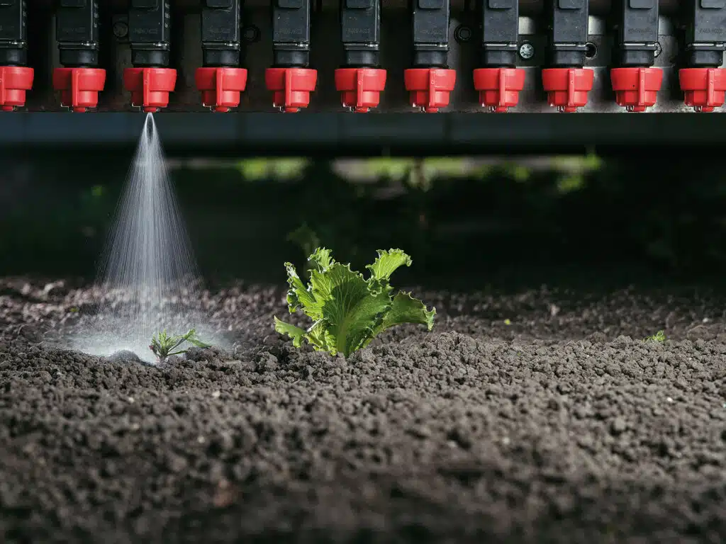 Sistema de pulverização de precisão usa IA para aplicar insumos diretamente nas plantas