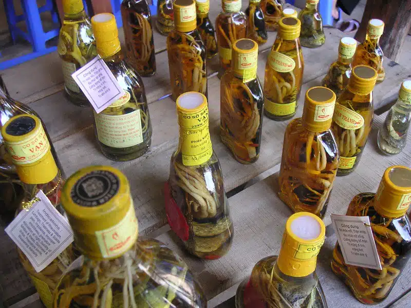 a lot of botles with snake wine