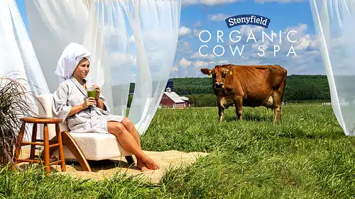 Mulher aproveitando no Organic Cow Spa.