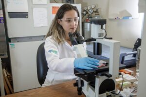 Izabela Rocha é médica-veterinária e pesquisadora em medicina equina