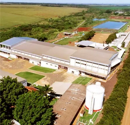 Após recuperação judicial fracassada, frigorífico de Sidrolândia decreta falência