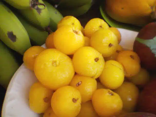 Conheça a cagaita, fruta nativa do Cerrado rica em compostos antioxidante