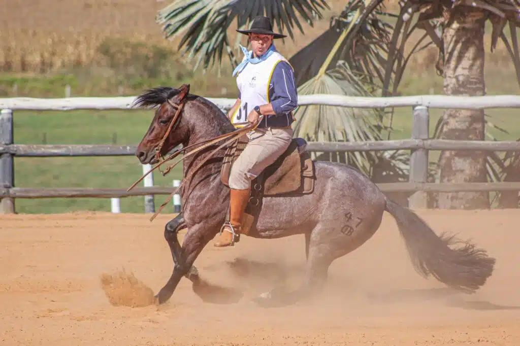 Cavalo Crioulo em prova funcional com ginete levantando poeira na pista