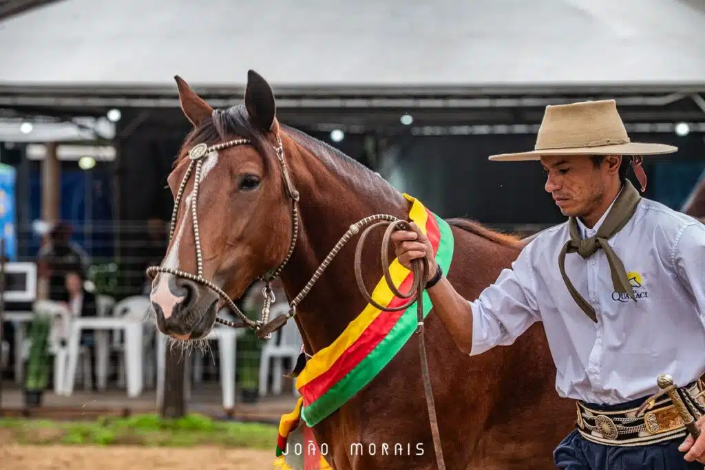 Cavalo Crioulo com faixa de premiação acompanhado por ginete