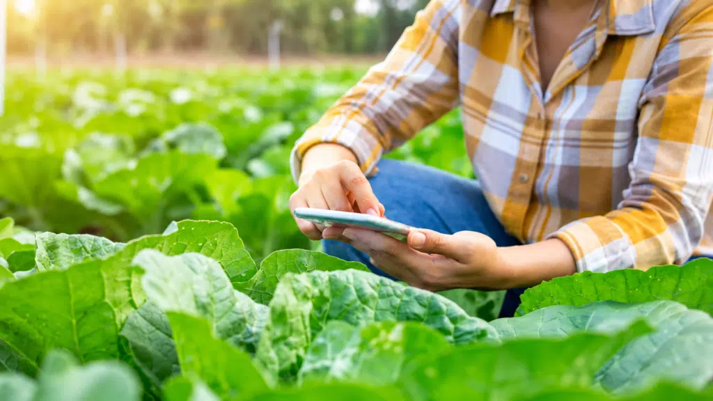 Produtor rural usa celular durante trabalho na lavoura para acessar serviços digitais