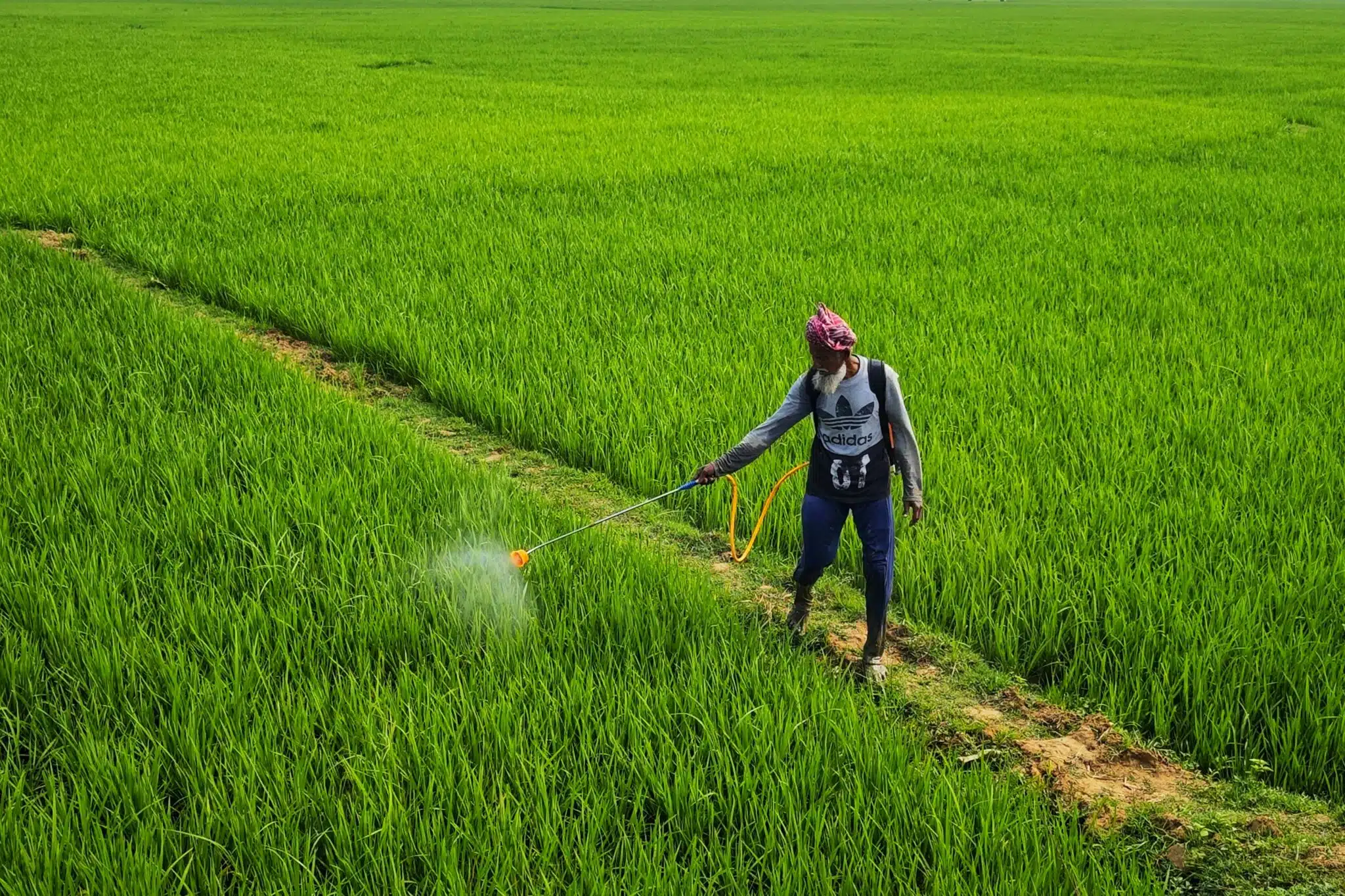 Agrotóxicos envenenam quase metade dos agricultores do mundo, revela estudo