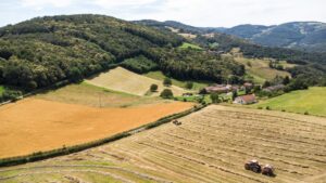 plantação França