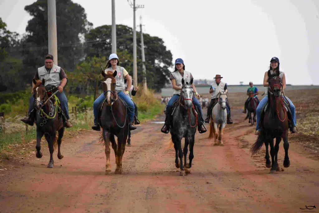 Cavaleiros montados em cavalos Mangalarga Marchador durante cavalgada por estrada rural no Brasil.