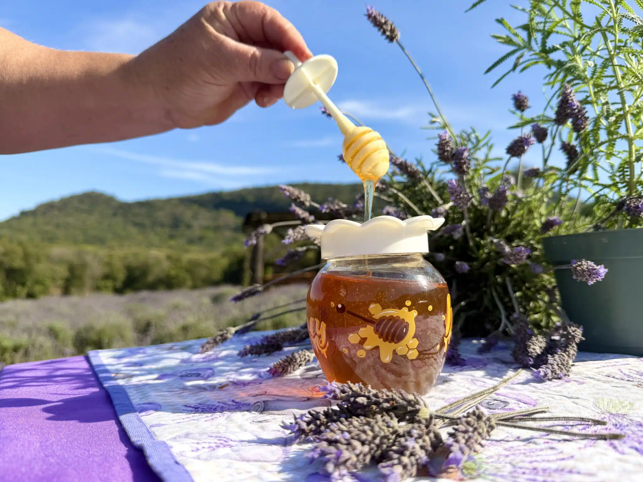 el raro de lavanda será atração em festa no RS