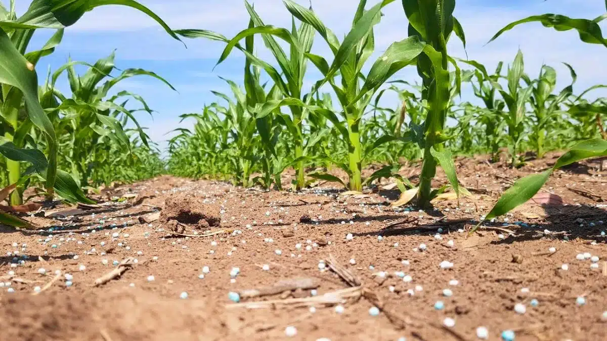 reço da ureia sobe pela quinta semana e acende alerta para a safrinha