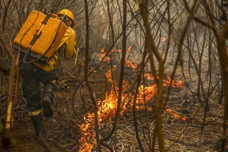 Incêndio no Pantanal