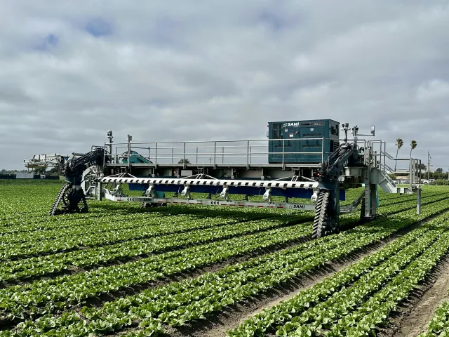 Robô da Sami Robotics em colheita de alface nos Estados Unidos