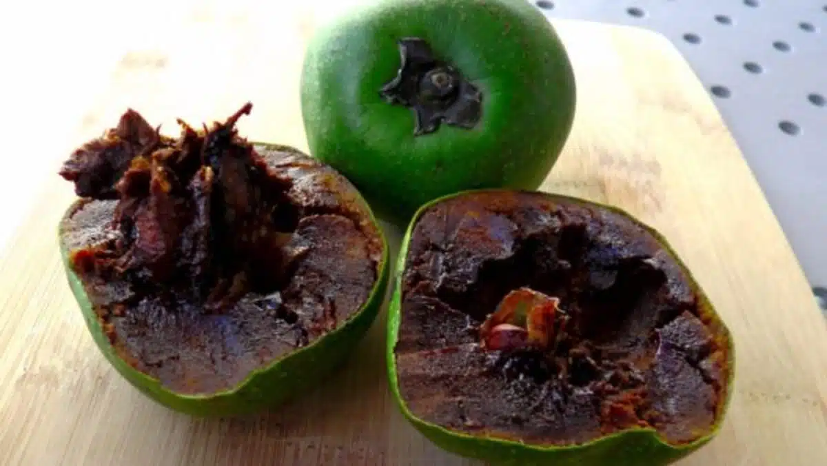 sapota preta