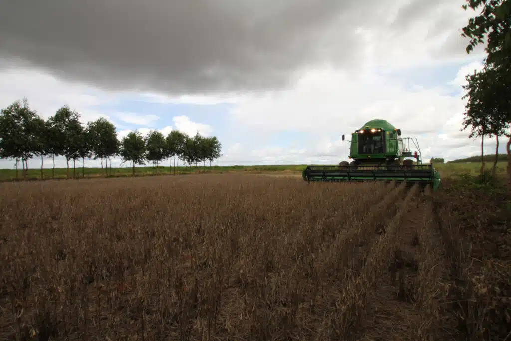 Mato Grosso é o estado com a maior produção e soja do Brasil