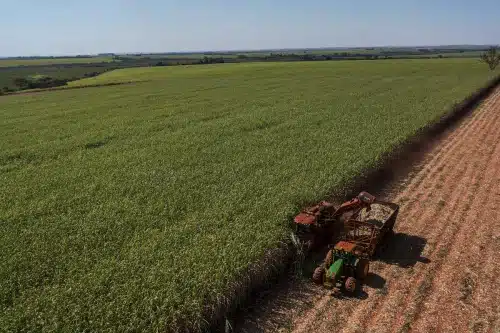 Usina de cana-de-açúcar produz açúcar e etanol no Brasil.