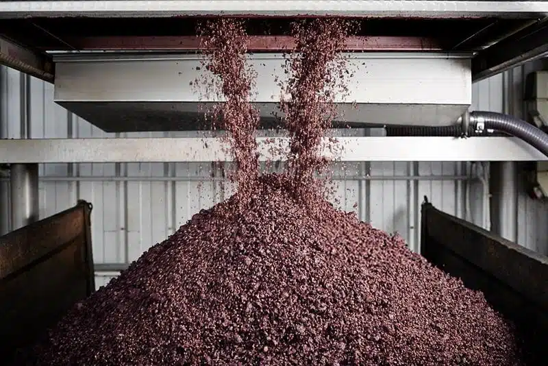 agaço de uva usado como matéria-prima para produção de bioetanol