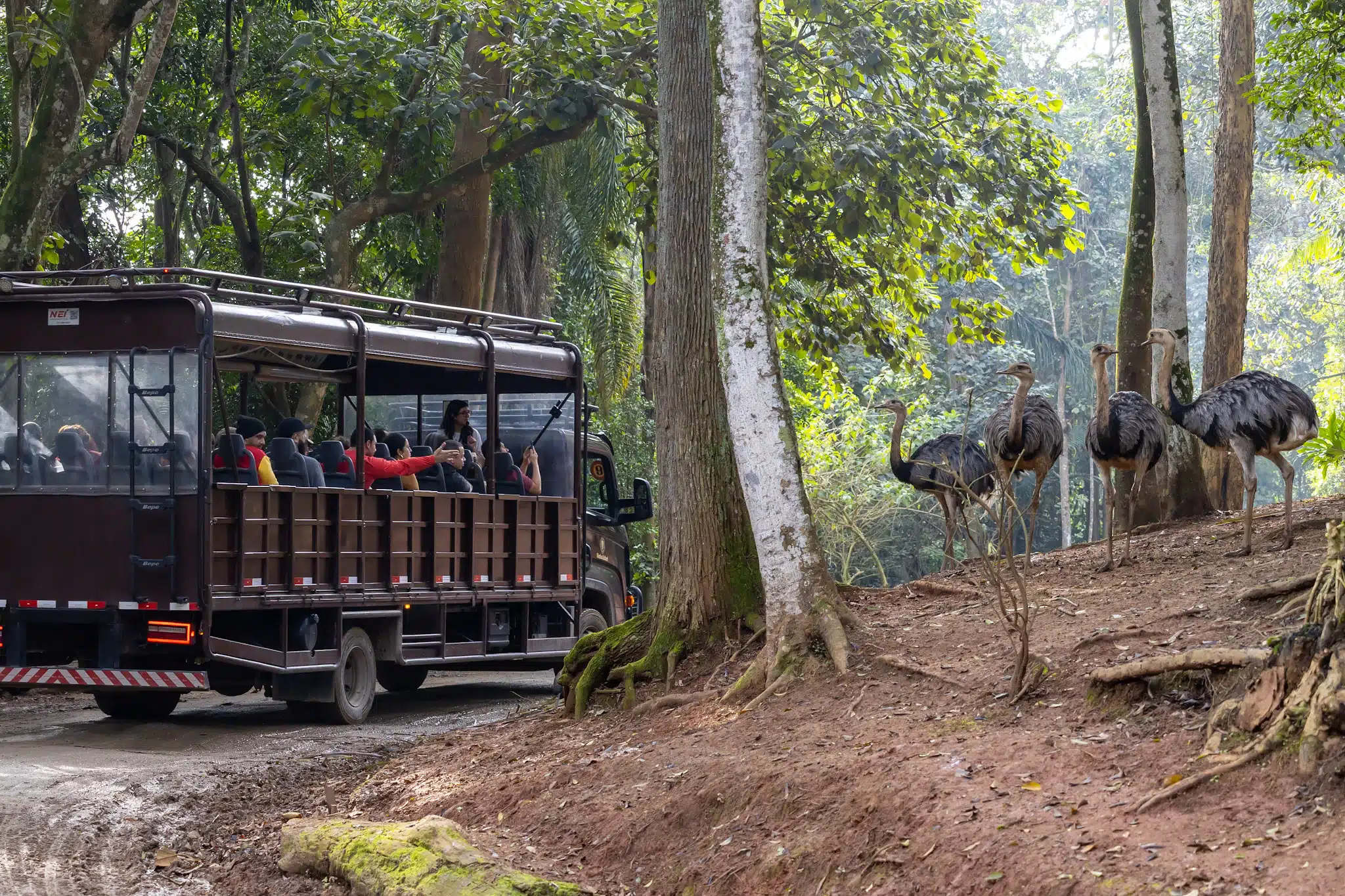 Projeto prevê desativar zoológicos em até dois anos e transferir os animais para centros de reabilitação e santuários.