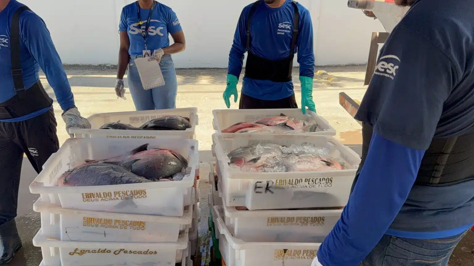 Ibama%20apreende%2037%2C4%20toneladas%20de%20pescado%20irregular
