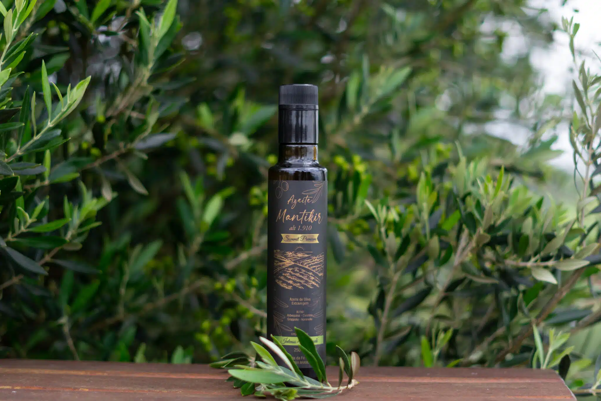 O azeite produzido pela Vinícola Essenza na Serra da Mantiqueira, conquistou o primeiro lugar e o Selo de Ouro na categoria Blend do Prêmio Brasil Arte