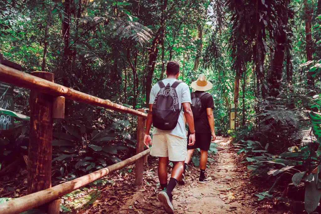 Trilha da Cachoeira do Ribeirão de Itu, em Boiçucanga, zona sul de São Sebastião -