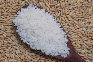 arroz