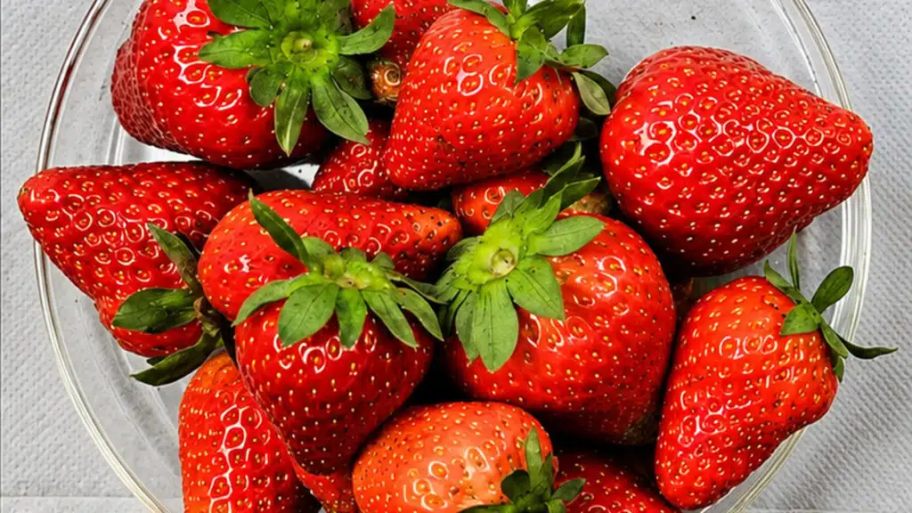 Morangos cultivados com a proteção Plant Armor apresentam maior produção em experimento da NC State University.