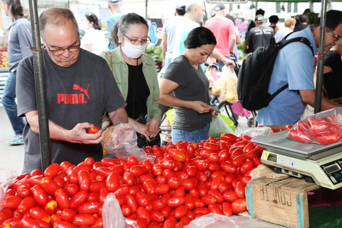 : Tomates estão entre os alimentos que mais subiram de preço na prévia da inflação de outubro