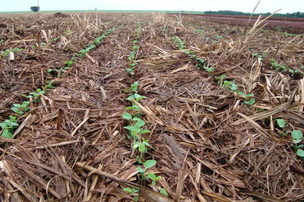 Solo encharcado pelo excesso de chuva atrasa o plantio e dificulta a entrada de máquinas agrícolas no campo.
