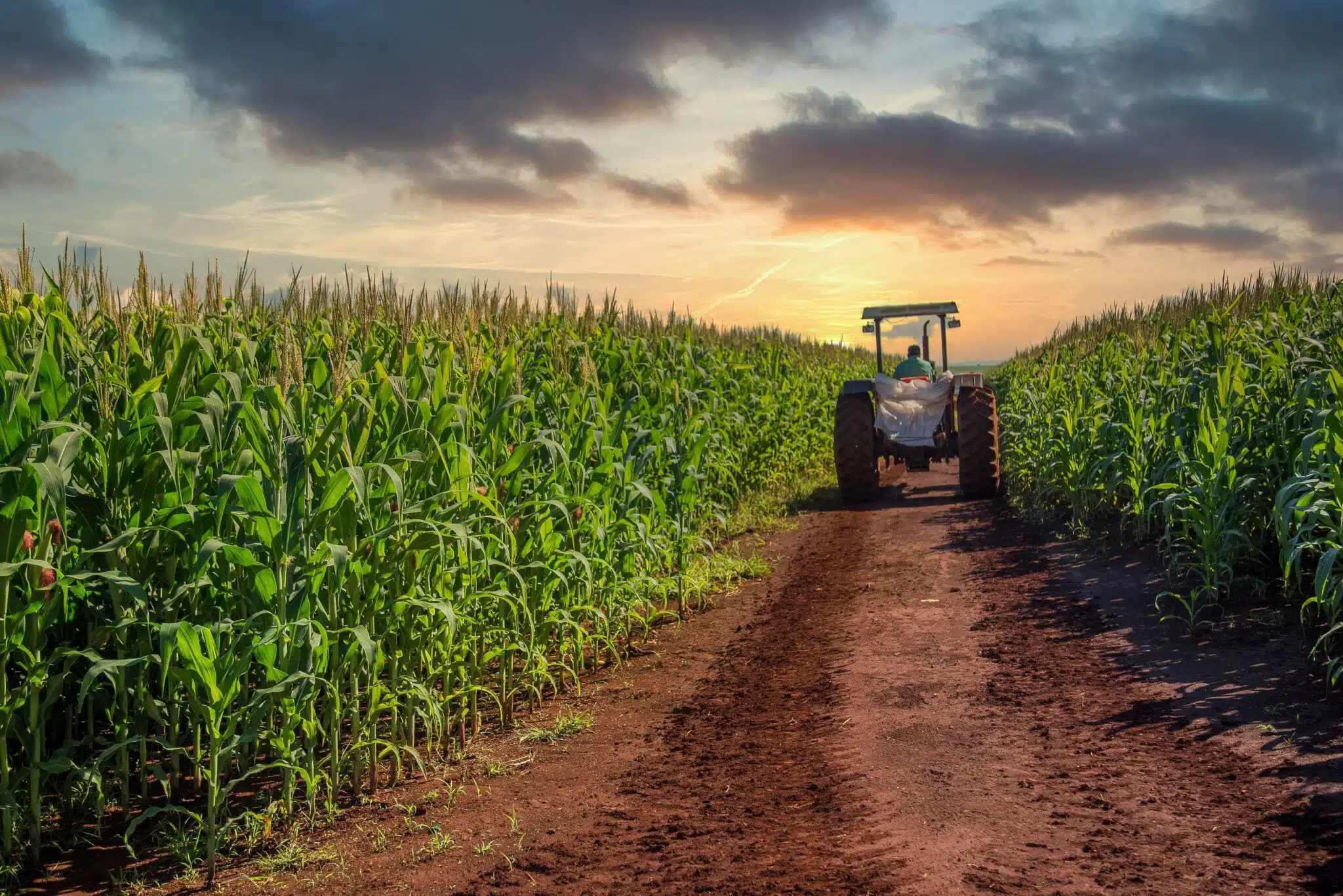 trator em lavoura nos Estados Unidos, onde o endividamento agrícola deve atingir US$ 605 bilhões em 2026