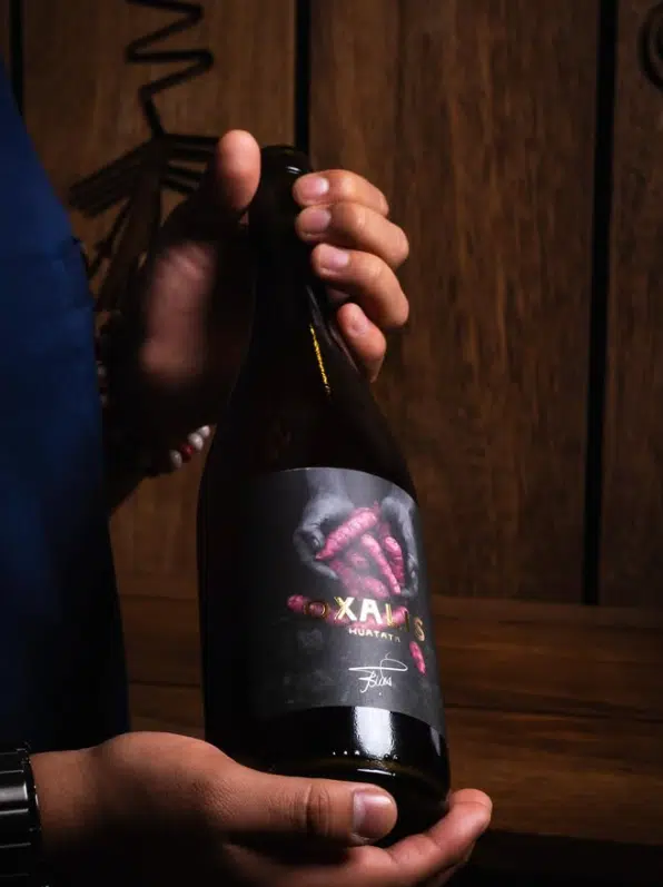 A oca, tubérculo andino cultivado há séculos, ganhou nova função como base para uma bebida fermentada chamada “vinho de batata”
