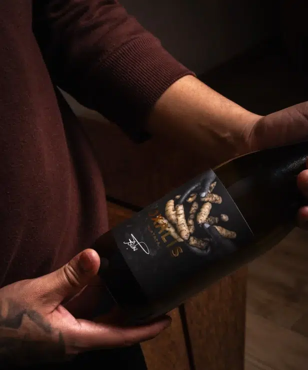 A oca, tubérculo andino cultivado há séculos, ganhou nova função como base para uma bebida fermentada chamada “vinho de batata”